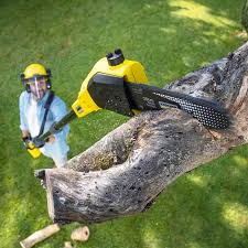 Best Lawn Mowing Services  in Oaklyn, NJ